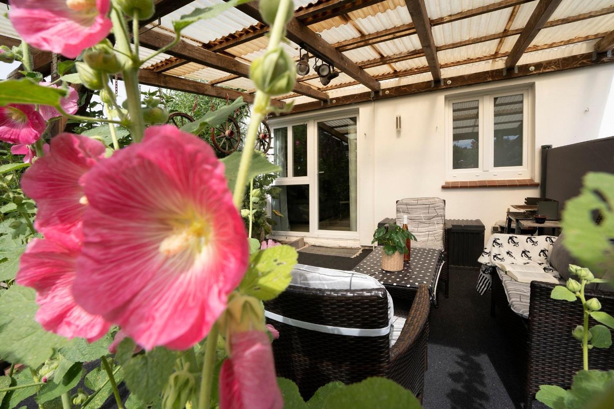 Haus Waldfrieden Ferienhaeuschen Waldfrieden Apartment Haffkrug Exterior foto